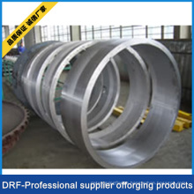 Forging Ring, Stainless Steel, Drf Factory Direct Sell